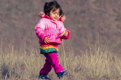 After green place. Creeping creeping kind. After green place. Creeping creeping kind.